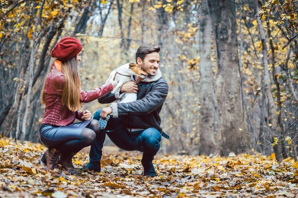 Femme et homme caressant le chien la promenant dans un décor d'automne coloré — Photo