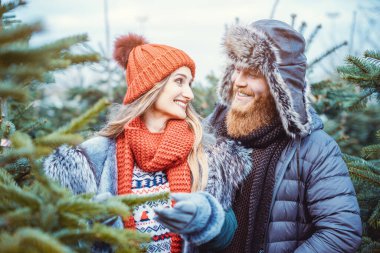 Çiftler Noel ağacı satışında eğleniyor.