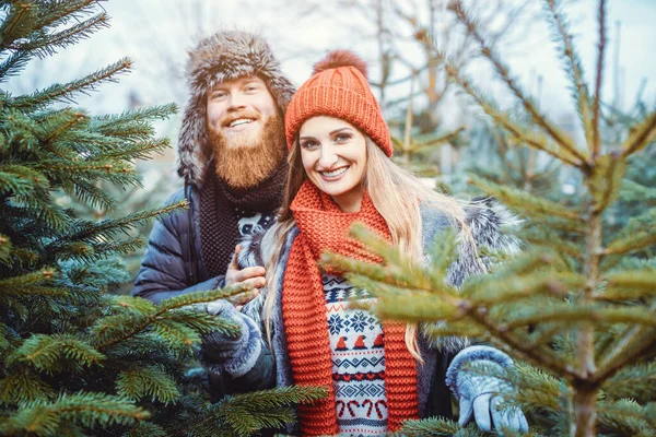 Mujer y hombre eligiendo un árbol de Navidad para su hogar — Foto de Stock