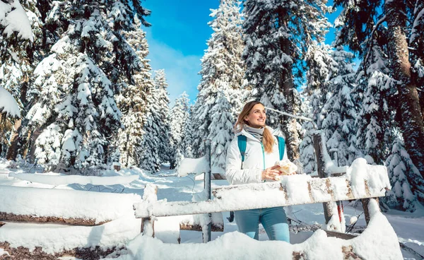 Woman having a rest during hike in winter and snow — Stock Photo, Image