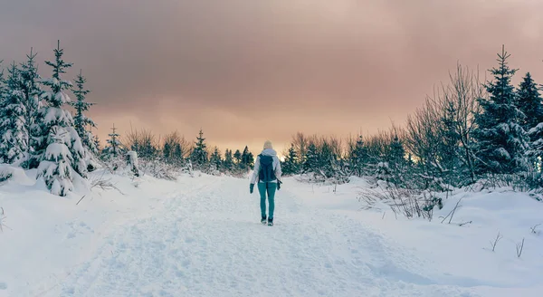 Mulher caminhando através da paisagem de inverno durante o pôr do sol colorido — Fotografia de Stock