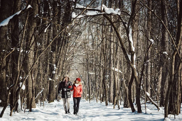 Casal ter um passeio de inverno em um dia frio frio na floresta — Fotografia de Stock