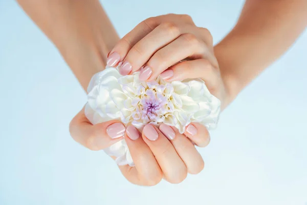 Mãos femininas segurando flor branca — Fotografia de Stock