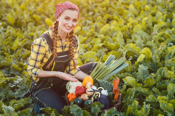 Çiftçi kadın sağlıklı organik sebze sepeti sunuyor. — Stok fotoğraf