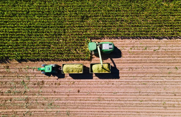 Corn harvest in the fields with transporter and harvester from above — Stok fotoğraf