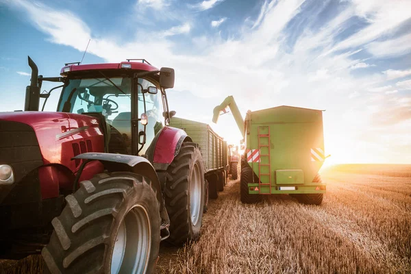 Corn being reloaded after harvest for transport to granary — Stock Photo, Image