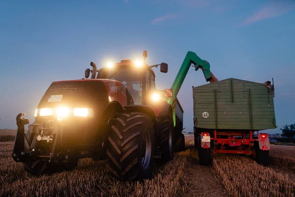 Tractor en el campo de grano cosechado durante el atardecer — Foto de Stock