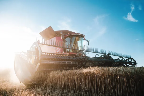 Combine harvester on grain field during harvest time — Stock Photo, Image