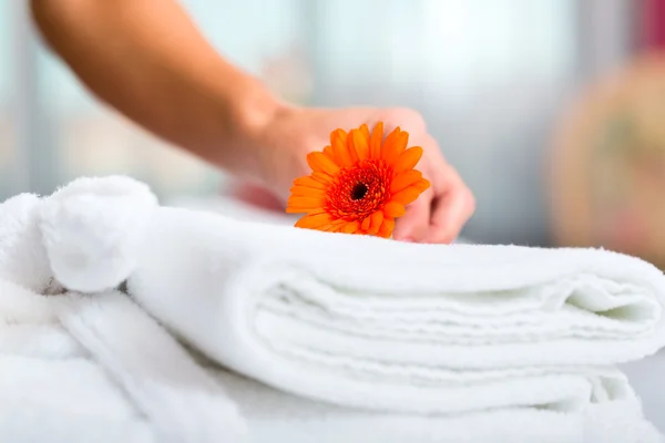 Maid doing room service in hotel — Stock Photo, Image