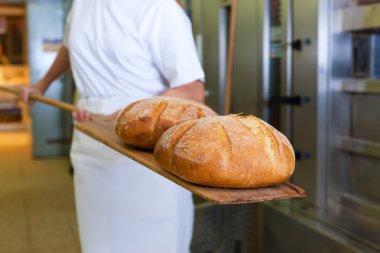 ürün gösterilen ekmek fırıncı