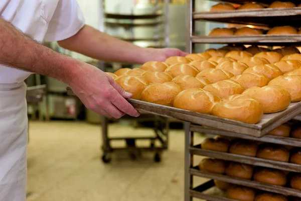 Baker in zijn bakkerij — Stockfoto