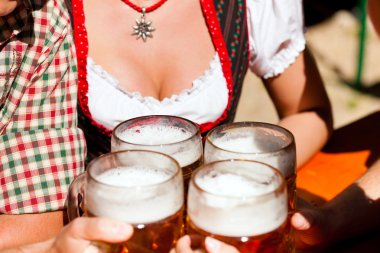 Taze bira bira bahçesinde