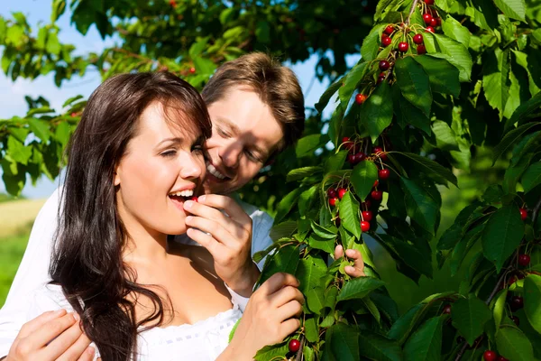 Glückliches Paar, das im Sommer Kirschen isst — Stockfoto