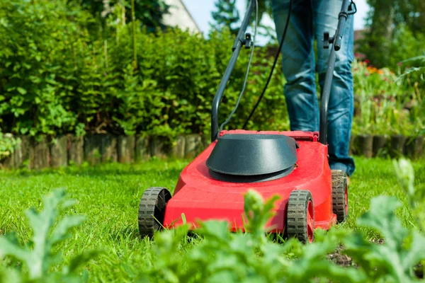 Man klipper gräsmattan på sommaren — Stockfoto