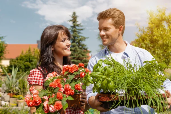 Couple in vegetable garden harvesting — Stock Photo, Image