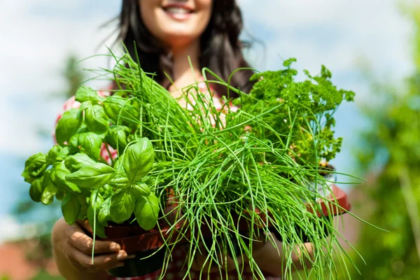 Donna felice con erbe — Foto Stock