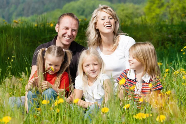 Familia feliz en verano en el prado — Foto de Stock