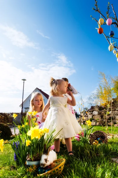 Los niños en la búsqueda de huevos de Pascua con conejo —  Fotos de Stock