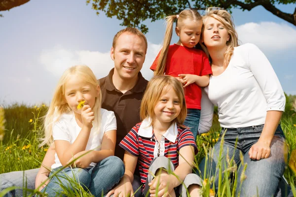 Família feliz no verão no prado — Fotografia de Stock