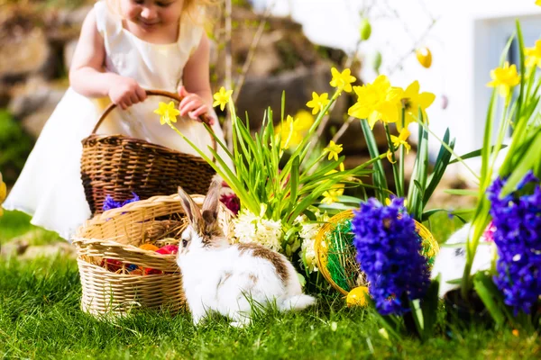 Easter Bunnies on meadow — Stock Photo, Image