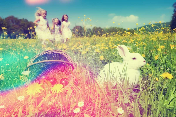 Bambini a caccia di uova di Pasqua con coniglietto — Foto Stock