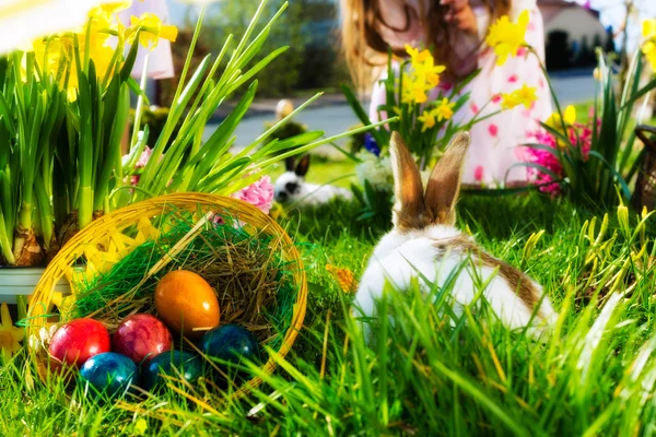 Conejo de Pascua en el prado con cesta y huevos — Foto de Stock