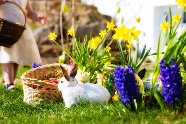 Conejitos de Pascua en el prado con cesta y huevos —  Fotos de Stock