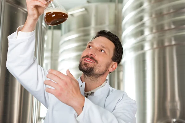 Cervecera en su cervecería — Foto de Stock