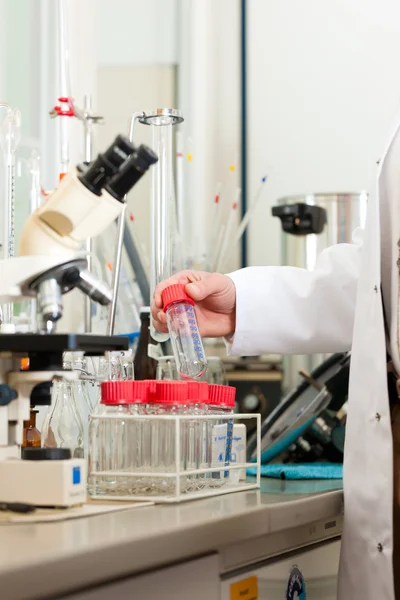 Cerveza Brewer en laboratorio de alimentos examinando — Foto de Stock