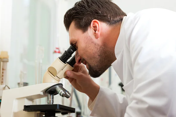 Beer Brewer in food laboratory examining — Stock Photo, Image