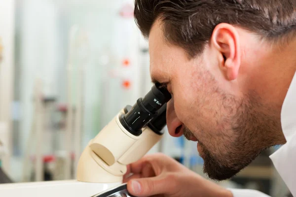 Beer Brewer in food laboratory examining — Stock Photo, Image