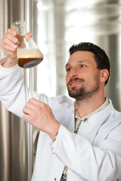Bierbrouwer in zijn brouwerij — Stockfoto