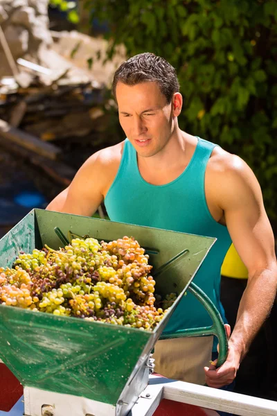 Wijnboer werken met druivenmost oogsten machine — Stockfoto