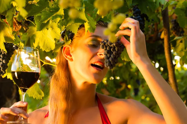 Frau mit Glas Wein im Weinberg — Stockfoto