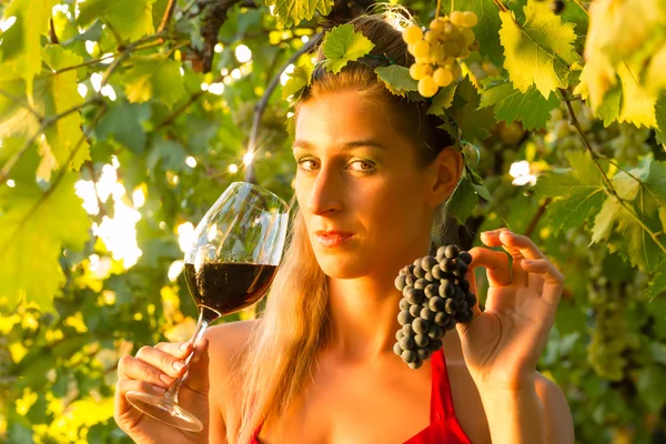 Woman with glass of wine in vineyard — Stock Photo, Image