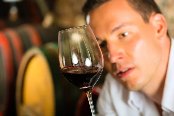 Man testen wijn in achtergrond vaten — Stockfoto