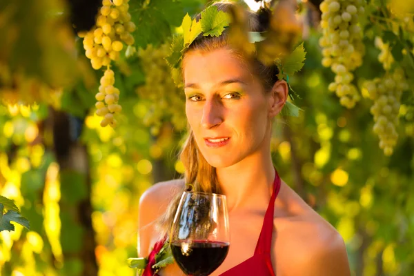 Vrouw met glas wijn in de wijngaard — Stockfoto