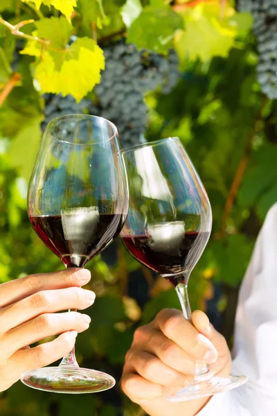 Woman and man drinking wine — Stock Photo, Image