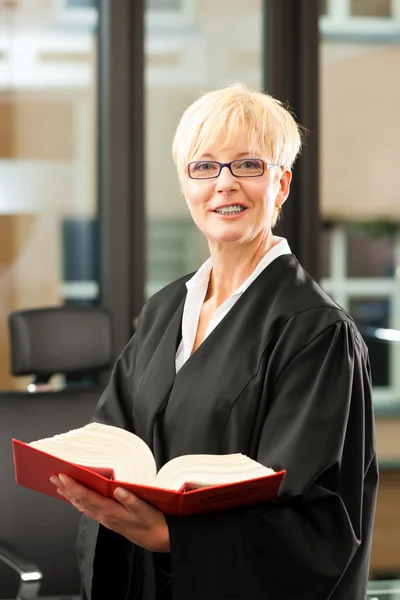 Advogada com código civil alemão — Fotografia de Stock