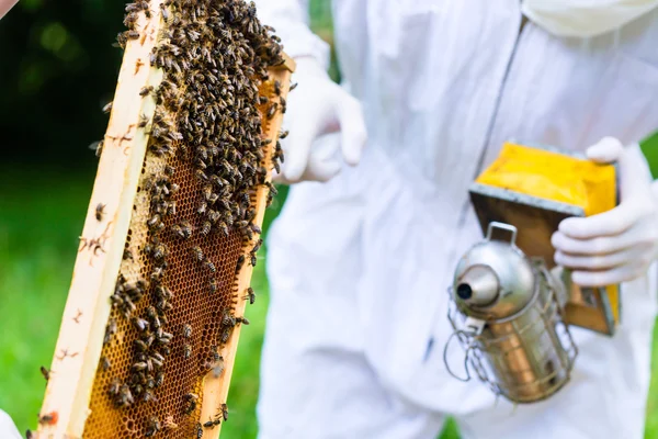 Apicultor con fumador que controla el abeja y las abejas — Foto de Stock