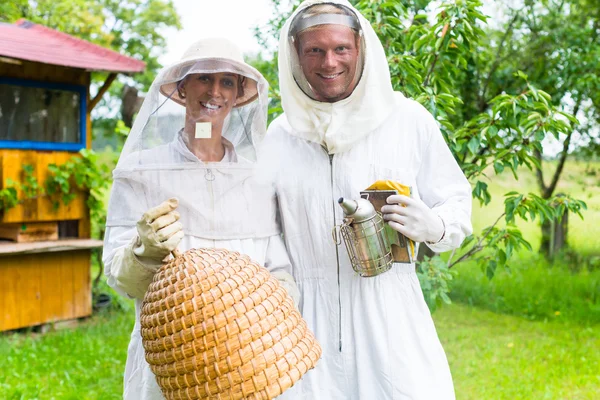 Μελισσοκόμος ομαδική εργασία υπαίθρια με καπνιστή και κυψέλη — Φωτογραφία Αρχείου