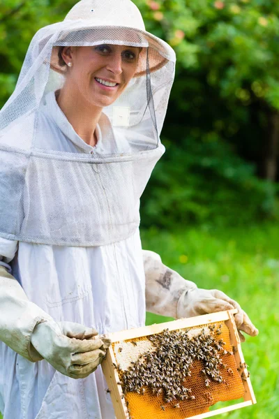 养蜂人控制 beeyard 和蜜蜂 — 图库照片