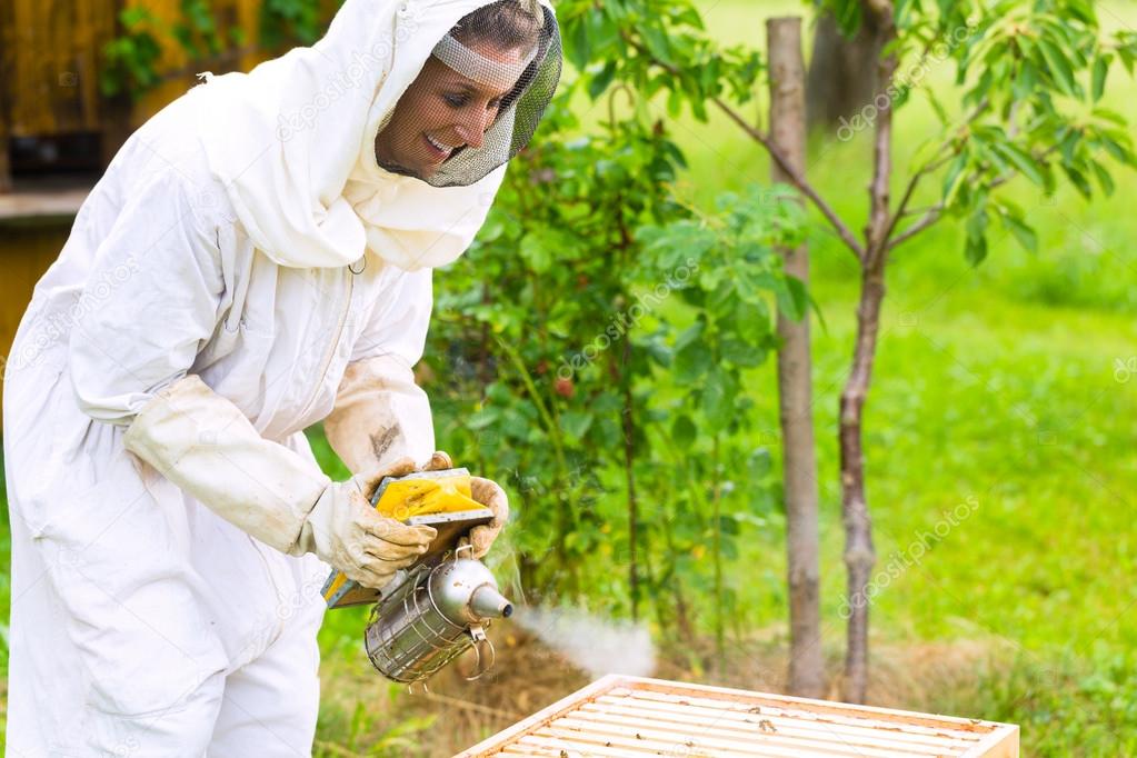 Beekeeper with smoker controlling beeyard and bees