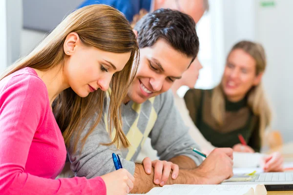 College students learning with professor Royalty Free Stock Images