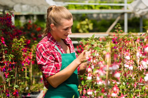 Jardinero femenino en jardín de mercado o vivero —  Fotos de Stock