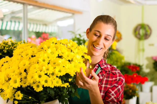 Fleuriste féminine dans la boutique de fleurs — Photo