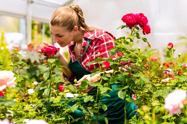 Giardiniere femminile in giardino o vivaio — Foto Stock