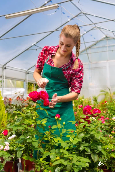 Jardineiro feminino no mercado jardim ou berçário — Fotografia de Stock