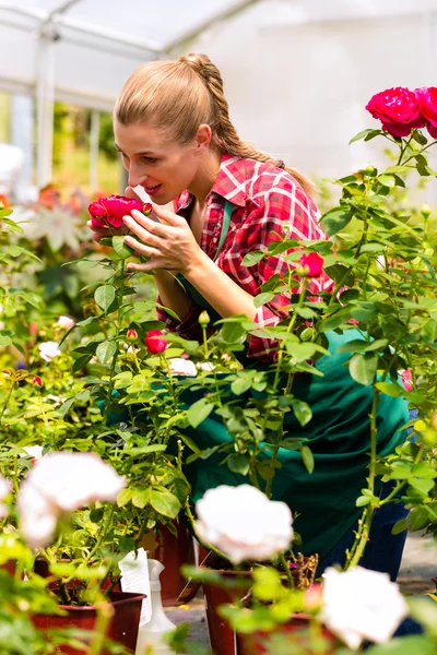 Giardiniere femminile in giardino o vivaio — Foto Stock