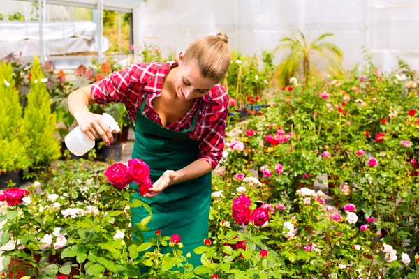 Vrouwelijke tuinman in markt tuin of kwekerij — Stockfoto